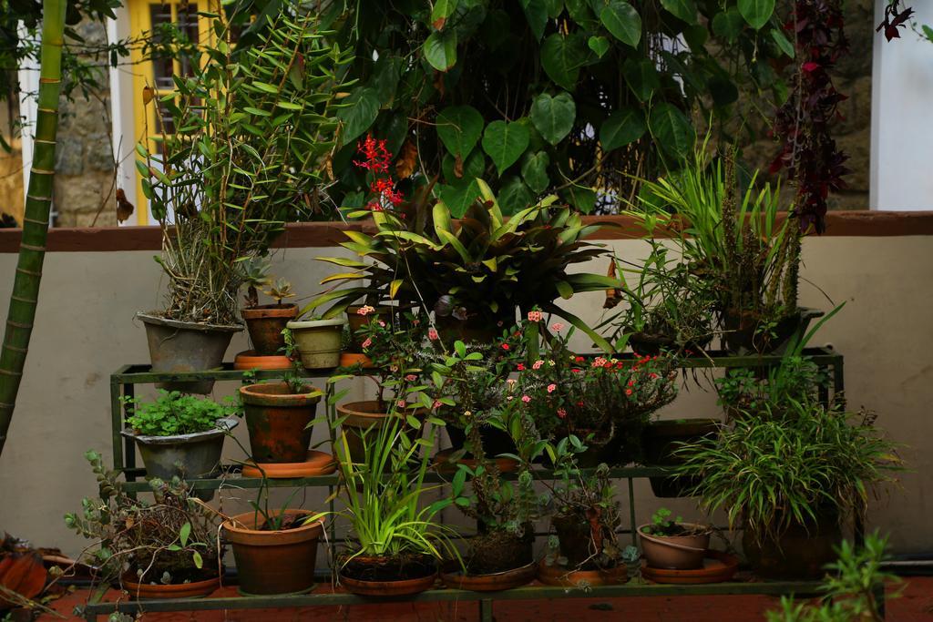 Pavithram Homestay Munnar Buitenkant foto